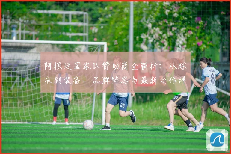 阿根廷国家队赞助商全解析：从球衣到装备，品牌阵容与最新合作详情