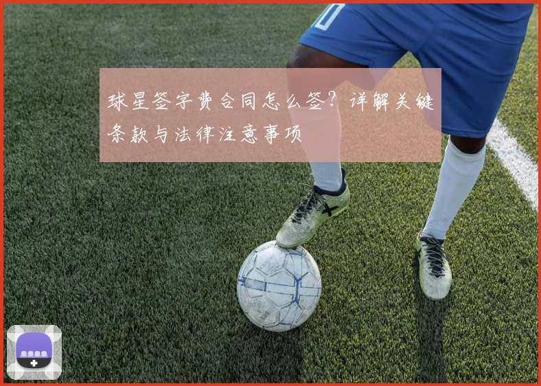 球星签字费合同怎么签？详解关键条款与法律注意事项